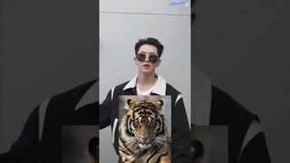 seungkwan is so done because hoshi pushing tiger concept for BSS comeback 🐯😂🤣 #seventeen