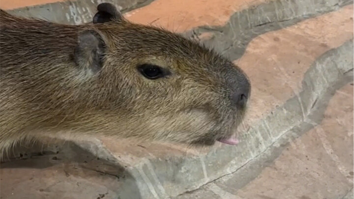 You won’t know how much fun it is unless you come!