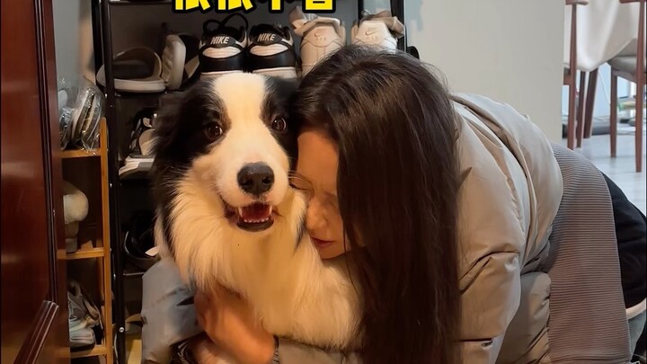 How Women Treat Dogs vs. Their Boyfriends: Two Very Different Attitudes