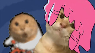 🥰 小 小 的 哈