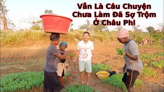 2Q vlogs||Thu nhập đầu tiên từ vườn rau của xóm trọ châu phi||Ahihi cuộc sống châu phi