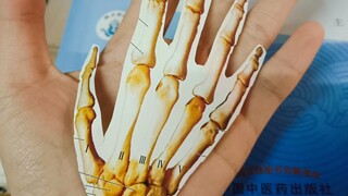 الوضع الحالي لمراجعة طلاب الطب