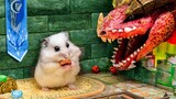 Hamster vs Dragon in Dungeons & Dragons Maze 🐹 Homura Ham