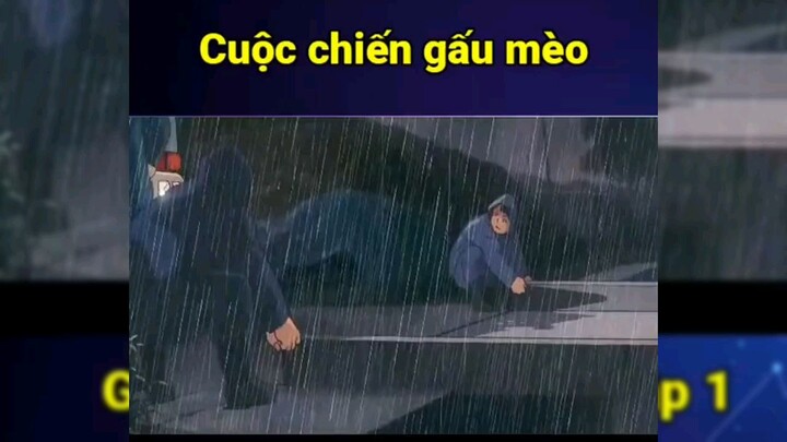 Cuộc chiến gấu mèo tập 1 #reviewanime