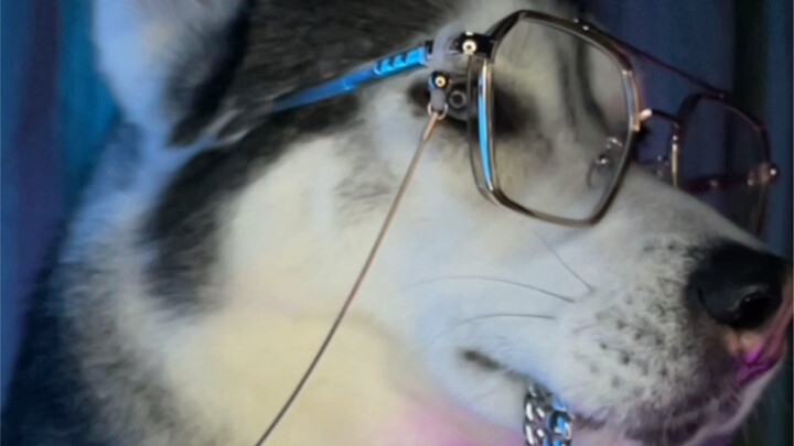 Can you take me out to play, sis?