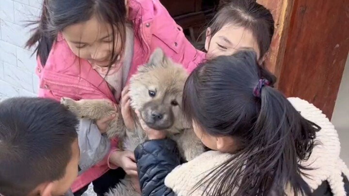 Tu Khâu: Sao lũ nhóc nghịch ngợm này vẫn chưa đi học vậy?