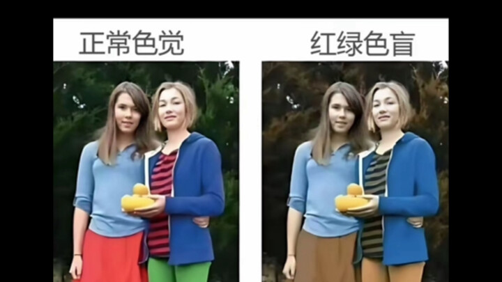 ภาพมีมขำๆ | ก็ไม่ต่างกันเลยนี่นา