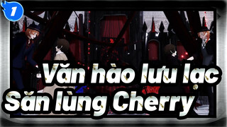 Văn hào lưu lạc |[BSD/MMD]Săn lùng Cherry[Chuuya&Dazai ]_1