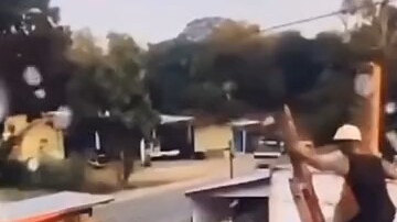 الشجرة: اليوم جرحتني، لكنني سامحتك بالفعل. الآن أعطيك فرصة لتتراجع بسلام، فلتُحسن التصرف!