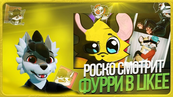 🐺 Роско смотрит prussian mouse - УЖАСЫ ФУРРИ В ЛАЙКЕ (+ ВК КЛИПЫ)
