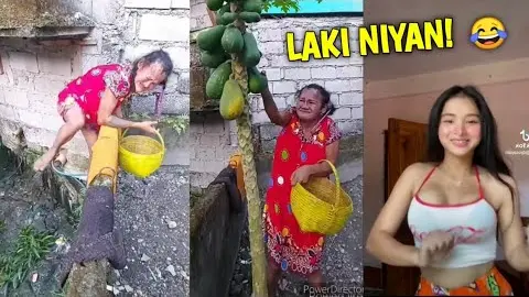 KUHA PAPAYA KASAMA MANOK LAPTRIP! haha Pinoy Memes Funny Videos - Bilibili