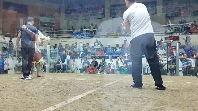 Bulik 2x winner SJC