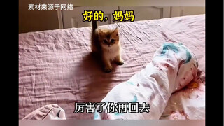 "Silly cute little kitty"