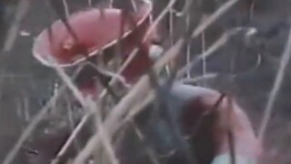 [Ultraman Zeta OP misunderstanding] Call my name: "Red Superman!"