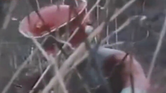 [Ultraman Zeta OP misunderstanding] Call my name: "Red Superman!"