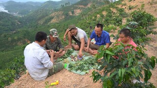 BẠCH TUỘC TÁI GHÉM RAU RỪNG