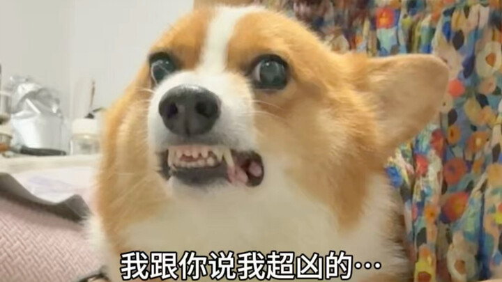 OMG, you scared me!