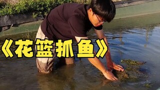 下花篮抓鱼，明天看收货