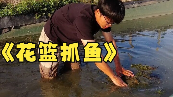 Setting flower baskets to catch fish; let's see the harvest tomorrow.