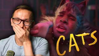 A Drunk Recap of Cats 2019