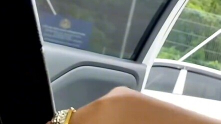 This world can't do without silly cats. On the street, I ran into a little cat that looked so much l