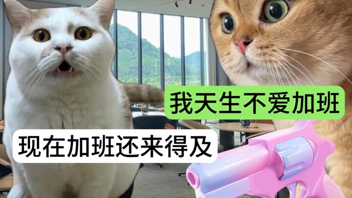 Phiên bản dân công sở của “Chu Xử Trừ Tam Hại”