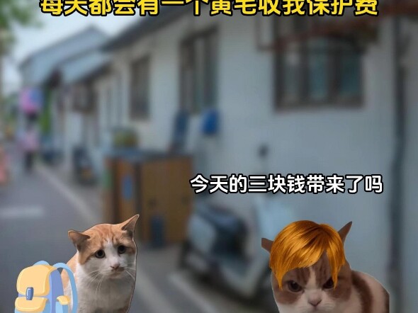 Biaya perlindungan tiga yuan