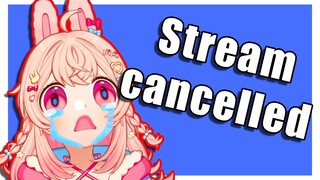 Why Pippa Cancelled Stream