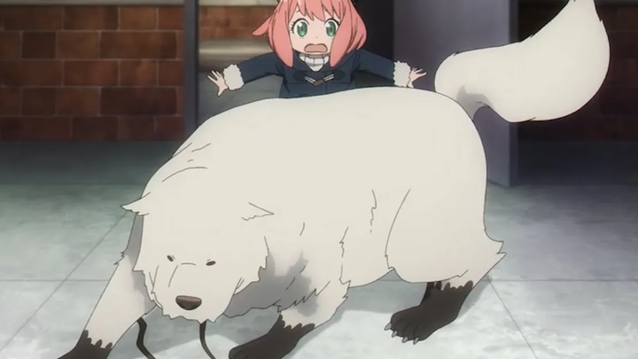 บอร์นช่วย Anya จากคนเลว