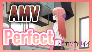 Perfect AMV