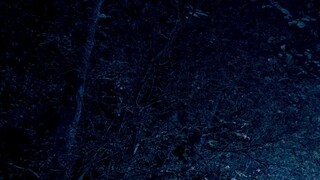 Zombiepura..pls. like and follow fore more zombie mania movies. TY.😇