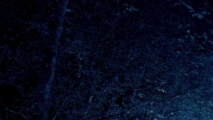 Zombiepura..pls. like and follow fore more zombie mania movies. TY.😇