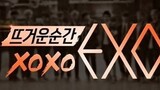 XOXO EXO EP3