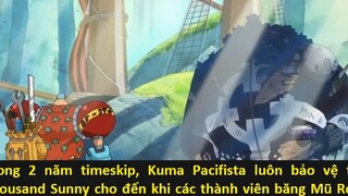 Luffy và Thất Vũ Hải có duyên nợ như thế nào p5