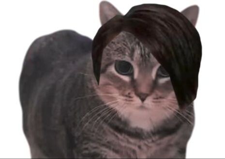 هاها، هل تفتقد أوياي أيضًا؟