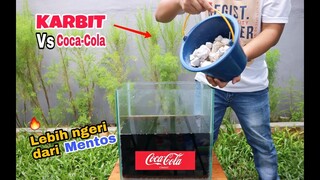 NGERI!!.. COCA-COLA vs KARBIT dalam Aquarium #karbit #experiment