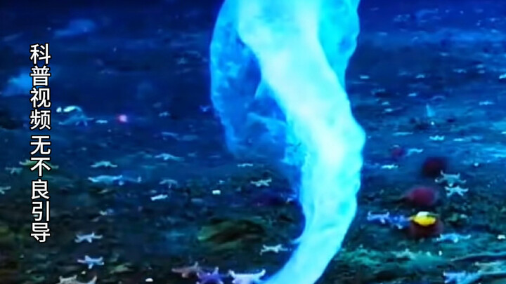 هل يجب أن أهرب عند رؤية هذه الظواهر؟ 90% من الناس يسيئون تقييم الخطر!