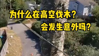 Why do we cut trees at height? Will there be accidents? #高空伐木 #解压 #科普