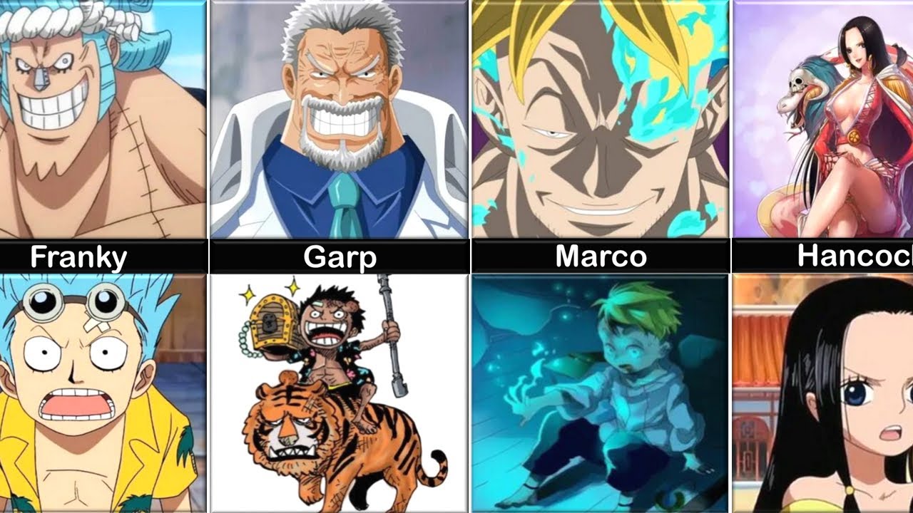 One Piece todos personagens crianças  One Piece All Characters As Kids 