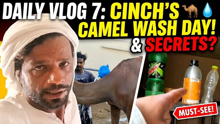 vlog 7