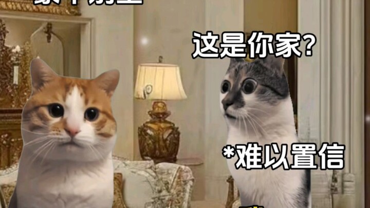 Give me one of these undignified jobs too!