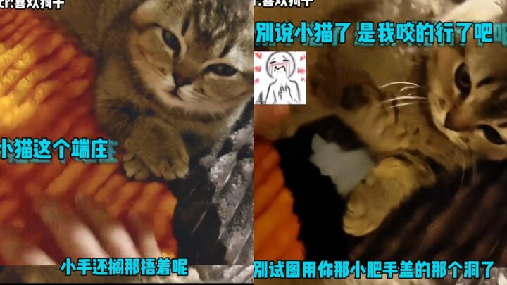 น้องแมวใช้เท้าปิดบังความผิดที่ทำไว้ แค่กัดเป็นรูนิดเดียวเอง งั้นขอชดเชยด้วยหน้าตาแทนแล้วกัน