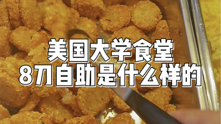 US University Cafeteria Buffet for $8 | Today’s Dish: Potato Pancakes