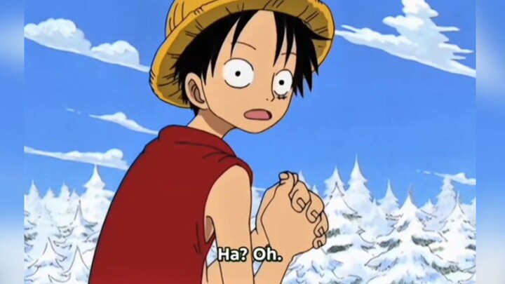 moment one piece paling lucu 🤣