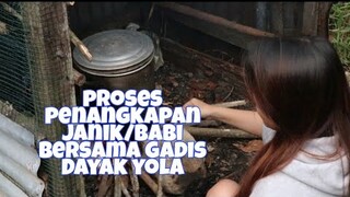 PROSES PENANGKAPAN JANIK/BABI❗ BERSAMA GADIS DAYAK UNTUK MEMPERINGATI 7 HARI MENINGGALNYA ALMARHUM .