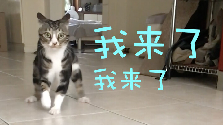 Udaayan datang ke Bilibili!