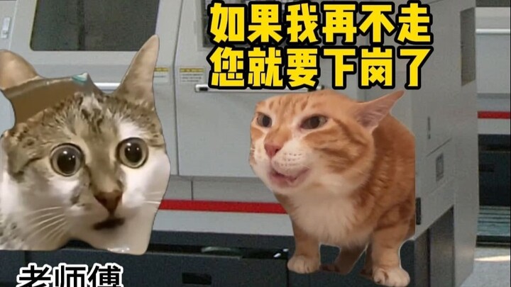 เมื่อเจ้านายของคุณต้องการให้คุณแทนที่เจ้านายเก่าของเขา