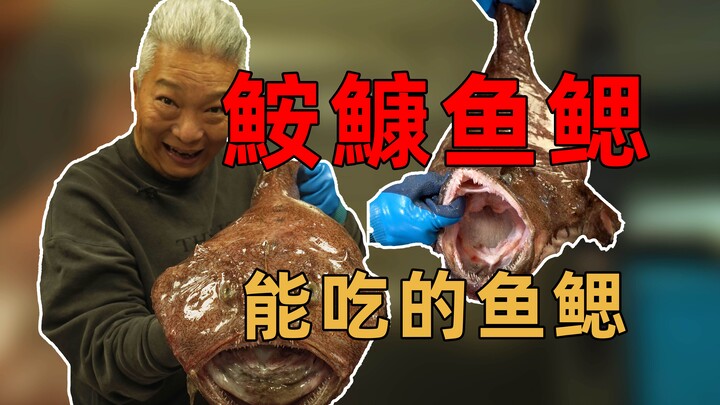 【พี่ชางชิงเจี๋ย】วันนี้เรือประมงเอามัจฉาตัวใหญ่หน้าตาขี้เหร่มาให้ผมหลายตัว นั่นก็คือปลาอะงู! เนื้อของ