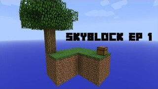 MINECRAFT SURVIVAL SKYBLOCK | EP1