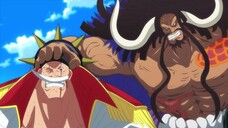 SHIROHIGE VS KAIDO SIAPA YANG MENANG!!??😱☠️